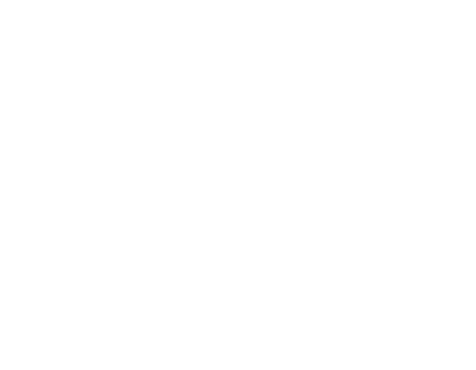 شکل تزئینی